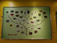 -上海昆虫博物馆