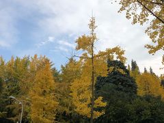 -四川大学(望江校区)