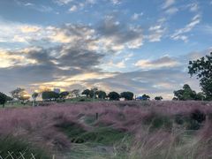 -红花山公园