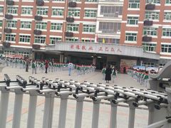 -南昌外国语百树学校