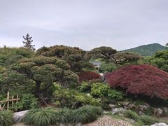 -西湖外事游船(花港观鱼码头)