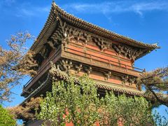 -善化寺