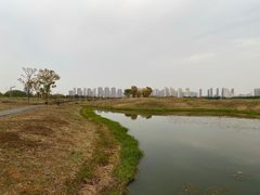 -洋湖国家湿地公园