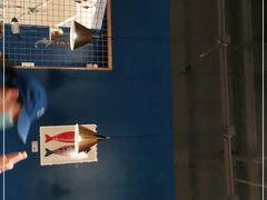 -鱼颜诱纸纸上烤鱼·蛙(龙湖天街店)