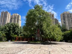 -龙头寺公园