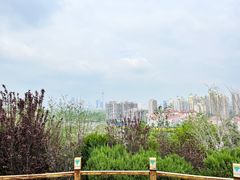 -南翠屏公园