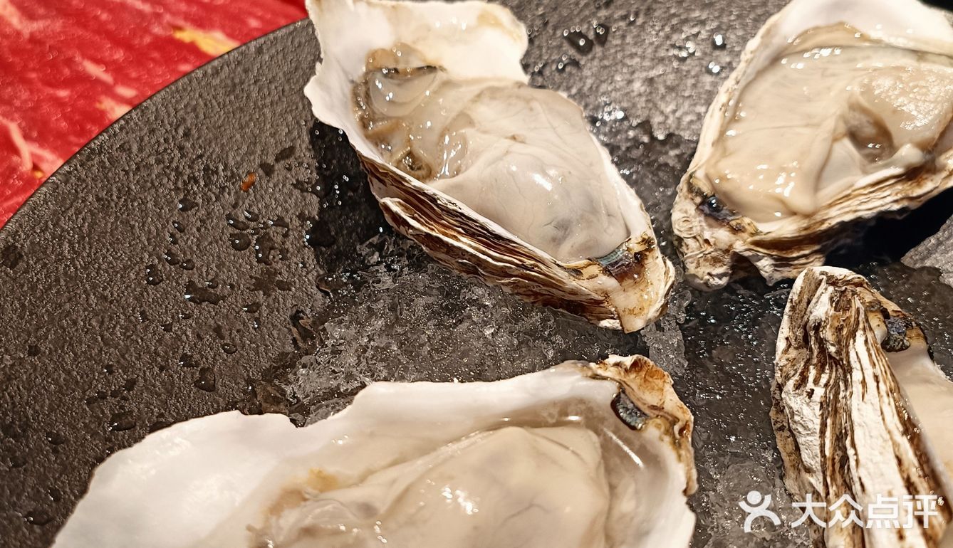 🆘性价比超高的日式寿喜锅自助！