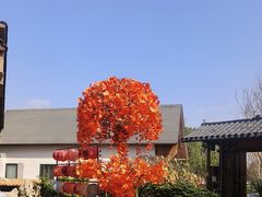 -后湖小院·乡野田园菜