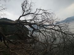 -青山湖景区