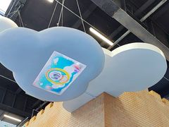-中国宋庆龄青少年科技文化交流中心