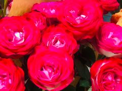-BoBloom花店(晶耀前滩店)