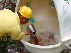 -100蛋泥浆浴