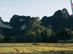 -明仕田园