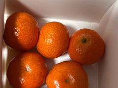 -淮扬府·游园京梦(北京SKP店)