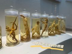 -广东中医药博物馆