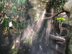 -青青世界