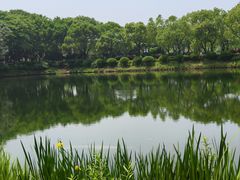 -金银湖国家城市湿地公园