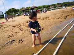-碧海金沙