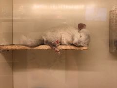 -龙猫仔乐园(惠福东路店)