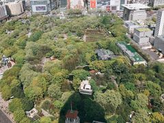 -上海明天广场JW万豪酒店