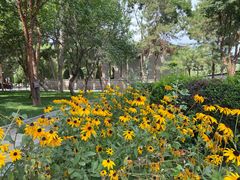 -张掖大佛寺景区
