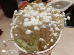 金针菇-刘一锅筋头巴脑(大悦城C店)