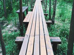 城市生态森林公园-昆山城市生态森林公园