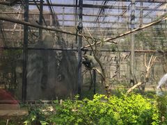 -石家庄市动物园