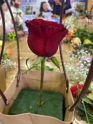 -千禧果月子会所(郑州东站店)