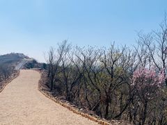 -樱桃山旅游景区