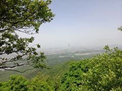 -紫金山山顶公园