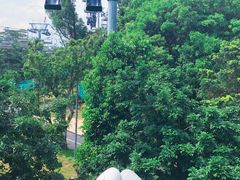 -圣淘沙天际线斜坡滑车