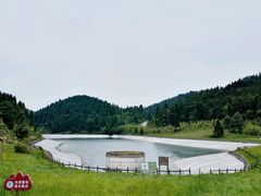 -武陵山森林公园