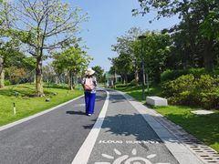 -王借岗森林公园