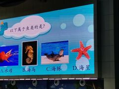 -合肥海洋世界