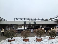 -秦始皇帝陵博物院-丽山园