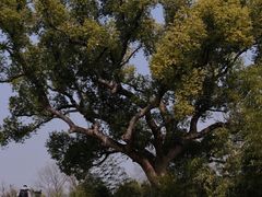 -良渚古城遗址公园