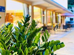 -花城苑广府菜(海心沙店)