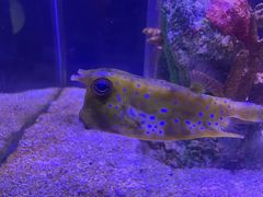 -太平洋海底世界