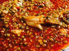 -高坎一品甲鱼庄(两河店)