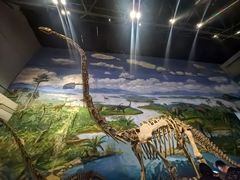 -自贡恐龙博物馆