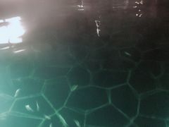 -海兰云天度假区温泉