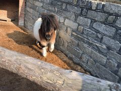 -清风小镇闯关东影视基地