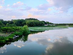 -大兴滨河森林公园