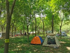 -永定河休闲森林公园