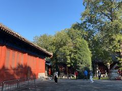 -北京国子监胡同