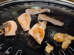 -杨小佳·齐齐哈尔烤肉·烤串(广州店)