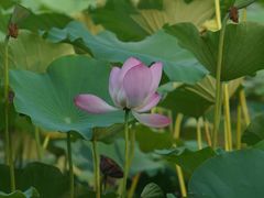 -云居湖
