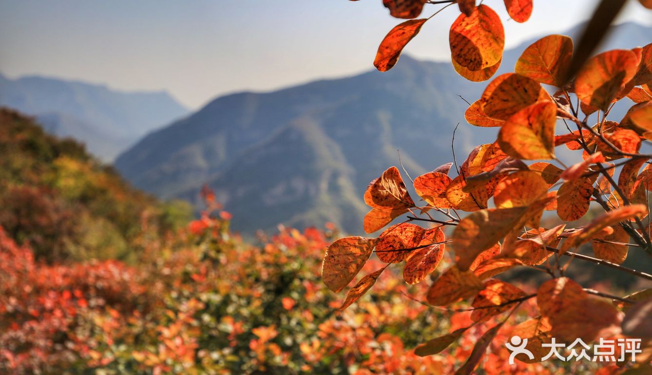 休息区，完全不用担心爬不上去