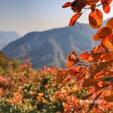 休息区，完全不用担心爬不上去